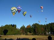 foto_20131122_0752_01